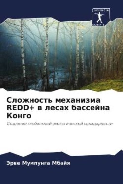 Сложность механизма REDD+ в лесах бассейна Кон
