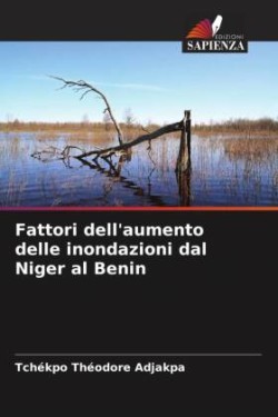 Fattori dell'aumento delle inondazioni dal Niger al Benin