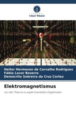 Elektromagnetismus