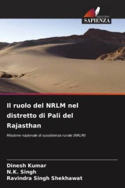 Il ruolo del NRLM nel distretto di Pali del Rajasthan