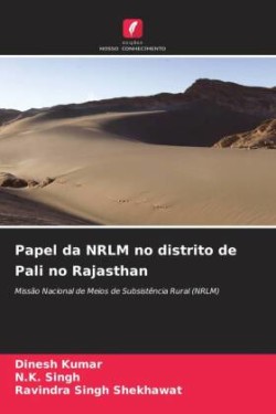 Papel da NRLM no distrito de Pali no Rajasthan