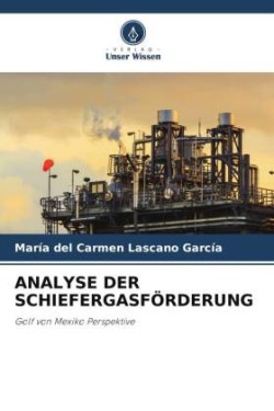 Analyse Der Schiefergasförderung