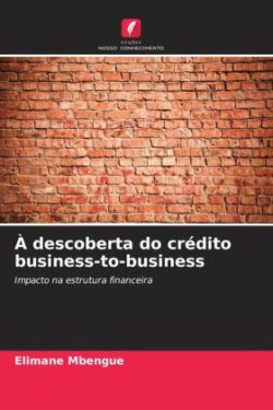 À descoberta do crédito business-to-business