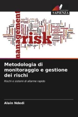 Metodologia di monitoraggio e gestione dei rischi