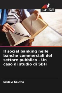 social banking nelle banche commerciali del settore pubblico - Un caso di studio di SBH