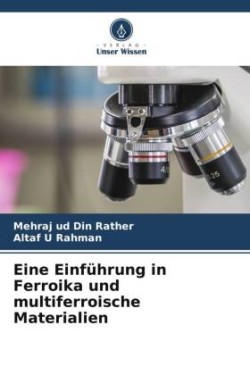 Eine Einführung in Ferroika und multiferroische Materialien