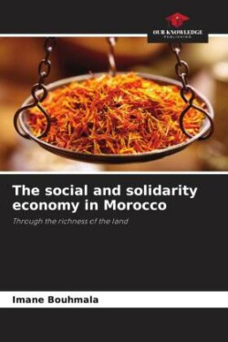 social and solidarity economy in Morocco