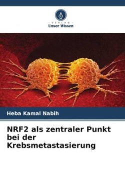 NRF2 als zentraler Punkt bei der Krebsmetastasierung