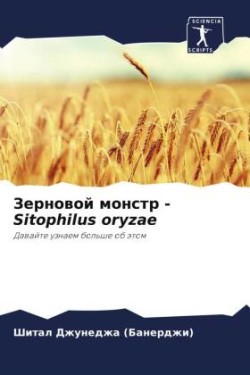 Зерновой монстр - Sitophilus oryzae