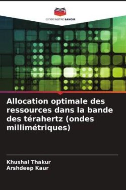 Allocation optimale des ressources dans la bande des térahertz (ondes millimétriques)