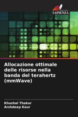 Allocazione ottimale delle risorse nella banda del terahertz (mmWave)