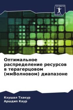 Оптимальное распределение ресурсов в тер