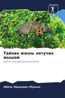 Тайная жизнь летучих мышей