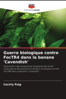 Guerre biologique contre FocTR4 dans la banane 'Cavendish'