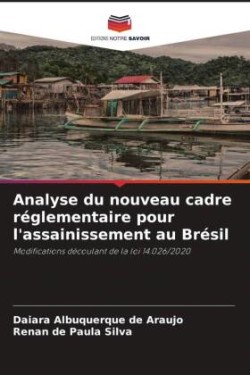 Analyse du nouveau cadre réglementaire pour l'assainissement au Brésil