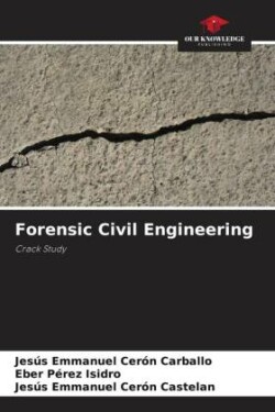 Forensic Civil Engineering