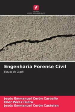 Engenharia Forense Civil