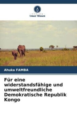 Für eine widerstandsfähige und umweltfreundliche Demokratische Republik Kongo