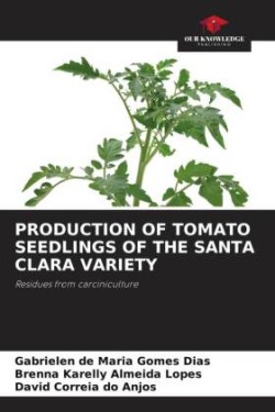 Production of Tomato Seedlings of the Santa Clara Variety