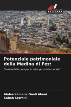 Potenziale patrimoniale della Medina di Fez