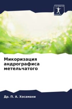 Микоризация андрографиса метельчатого