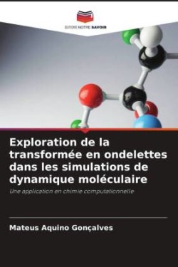 Exploration de la transformée en ondelettes dans les simulations de dynamique moléculaire