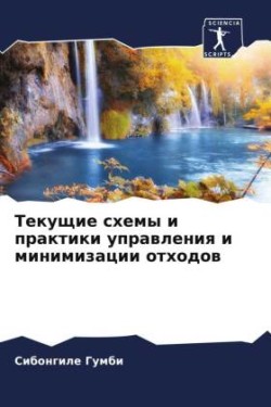 Текущие схемы и практики управления и мин&#108