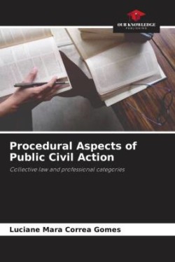 Procedural Aspects of Public Civil Action