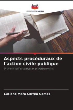 Aspects procéduraux de l'action civile publique