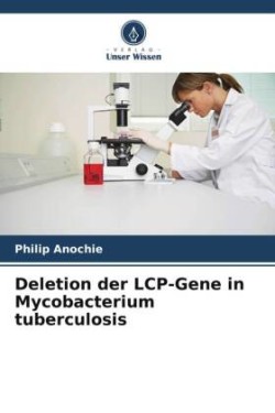 Deletion der LCP-Gene in Mycobacterium tuberculosis