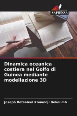 Dinamica oceanica costiera nel Golfo di Guinea mediante modellazione 3D
