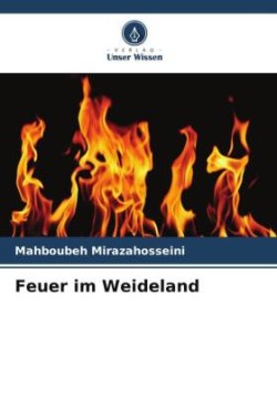 Feuer im Weideland