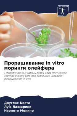 Проращивание in vitro моринги олейфера