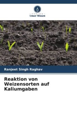 Reaktion von Weizensorten auf Kaliumgaben