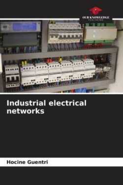 Industrial electrical networks