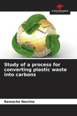 Study of a process for converting plastic waste into carbons