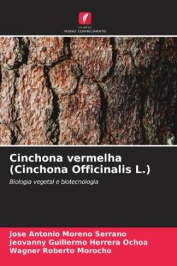 Cinchona vermelha (Cinchona Officinalis L.)