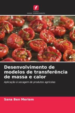 Desenvolvimento de modelos de transferência de massa e calor