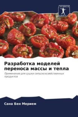 Разработка моделей переноса массы и тепла
