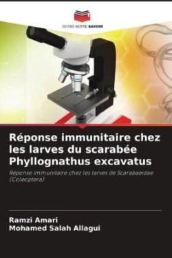 Réponse immunitaire chez les larves du scarabée Phyllognathus excavatus