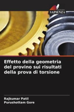 Effetto della geometria del provino sui risultati della prova di torsione