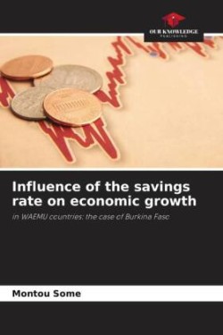 Influence of the savings rate on economic growth