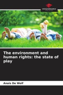 environment and human rights