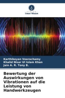 Bewertung der Auswirkungen von Vibrationen auf die Leistung von Handwerkzeugen