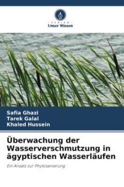 Überwachung der Wasserverschmutzung in ägyptischen Wasserläufen