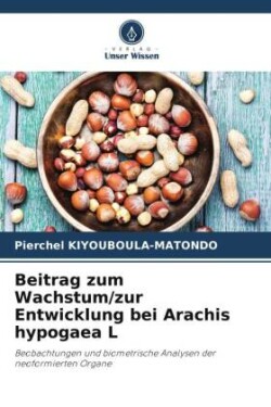 Beitrag zum Wachstum/zur Entwicklung bei Arachis hypogaea L