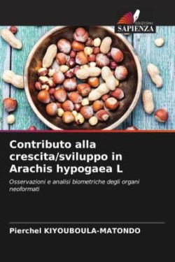 Contributo alla crescita/sviluppo in Arachis hypogaea L