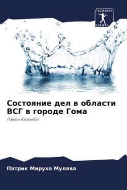 Состояние дел в области ВСГ в городе Гома