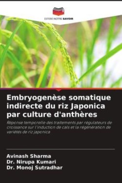 Embryogenèse somatique indirecte du riz Japonica par culture d'anthères