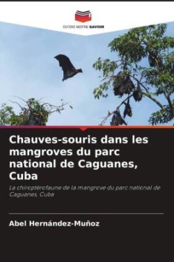 Chauves-souris dans les mangroves du parc national de Caguanes, Cuba